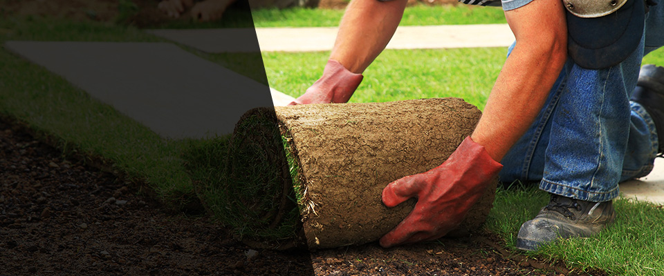 Lititz Landscapers